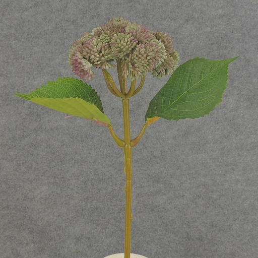 [SE6081-LGN] SEDUM STEM 15" LAVENDER/GREEN