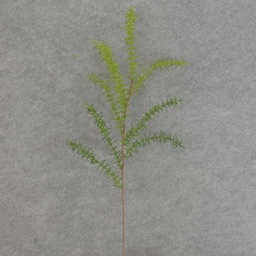 [SE6083] GRASS SNAPDROGON SPRAY X8 26.5&quot;