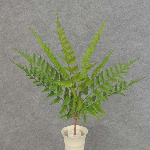 [SE6085] FERN SPRAY X8 