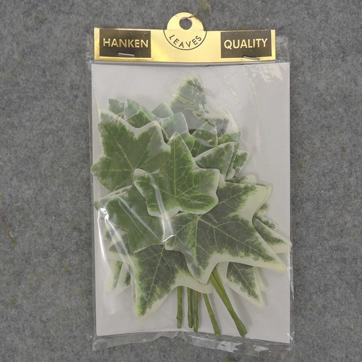 [SE6105] VARIGATED LEAF IVY  PICK 7.5"  (6/BAG)