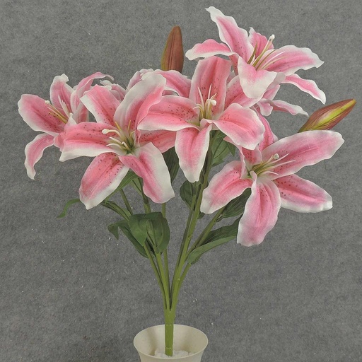 [SE7006-RUB] LILY BUSH X9 21" 8" dia  RUBRUM