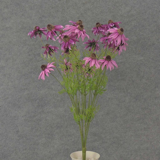 [SE8010-PFU] BLACK EYED SUSAN BUSH X6 22"  PINK/FUCHSIA