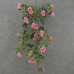 [SE8035] BEGONIA HANGING BUSH W/57 BLMS