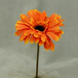 [SEF20-ORG] GERBERA SHORT STEM  ORANGE