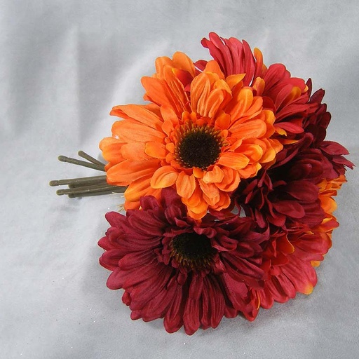 [SEF27-RBO] GERBERA BUNDLEx7 W/RAFFIA 9.25"  RED/BRICK/ORANGE