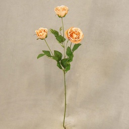 [SEF28-PCH] ROSE ENGLISH SPRAY X3  24&quot;  PEACH
