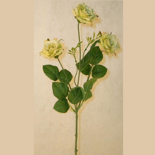 [SEF29-GRN] ROSE PRINCESS SPRAY X3  24"  GREEN