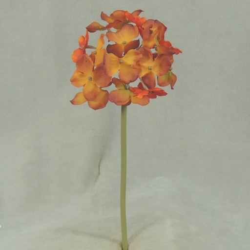 [SEF315-RUS] HYDRANGEA STEM 11.5"  RUST