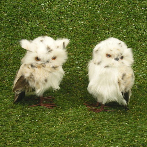 [SJ4121] OWL 6.5" PAIR OF 2  WHITE