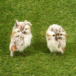 [SJ4127] OWL 5" PAIR (2 OWLS/BAG) BROWN