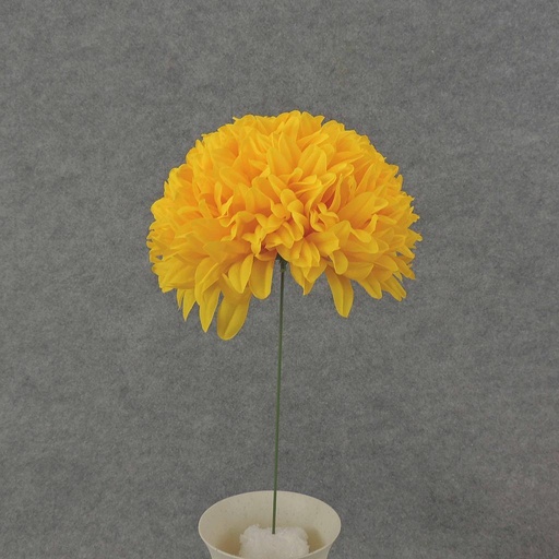 [SEF6001-GYL] FOOTBALL MUM PICK 12" (8" BLM)  GOLDEN YELLOW