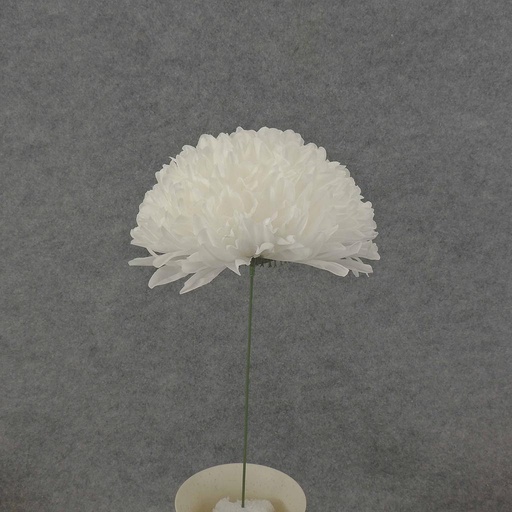 [SEF6001-WHT] FOOTBALL MUM PICK 12" (8" BLM)  WHITE