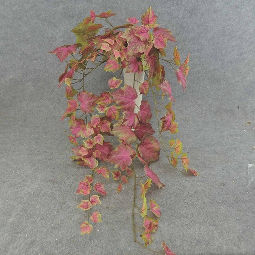 [SEF6036-GRU] GRAPE IVY HANGER 39" 159 LVS RHUBARB