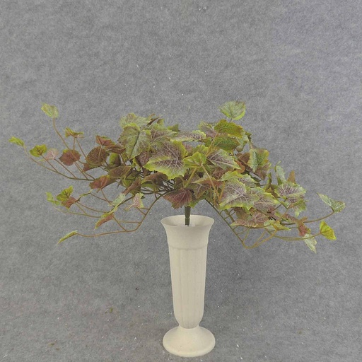 [SEF6038] GRAPE IVY BUSH VINE 158 LVS FROSTED RED/GREEN