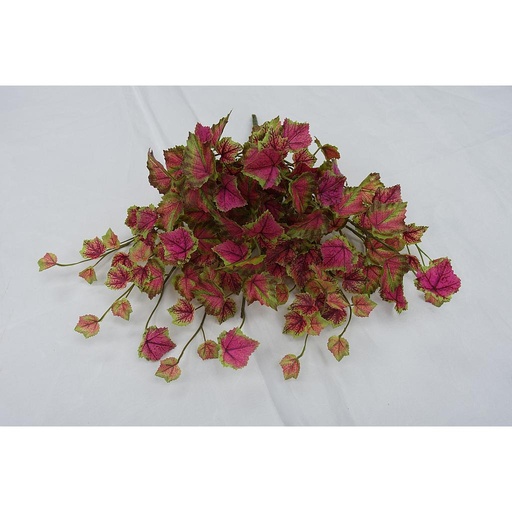 [SEF6038-GRU] GRAPE IVY BUSH VINE 158 LVS GREEN/RHUBARB