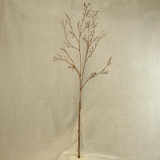 [SEF34-BRN] SEED SPRAY   39"    BROWN