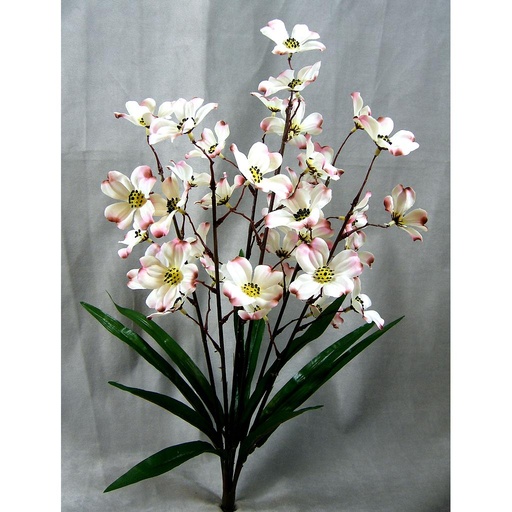 [SG322-CPK] DOGWOOD 22" BUSHx6 CREAM W/PINK