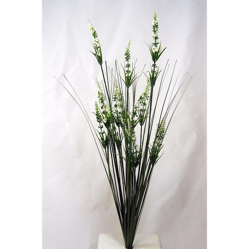 [SG332-WHG] LAVENDER/ONION GRASS 26"  WHITE