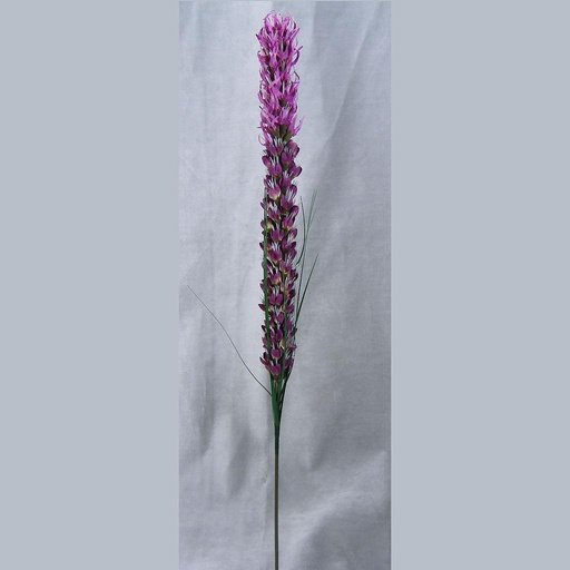 [SG336-PUR] LIATRUS SPRAY 26.25"  PURPLE