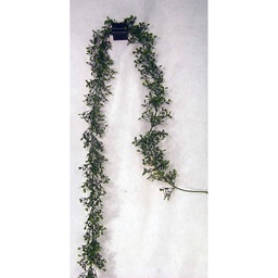 [SG51] GARLAND BOXWOOD 6'