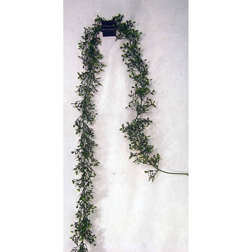 [SG51] GARLAND BOXWOOD 6'
