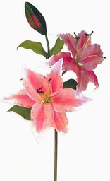 [SG87-FUS] LILY TIGER DISPLAY SPRAY FUSCHIA 16" DIA/55" TALL