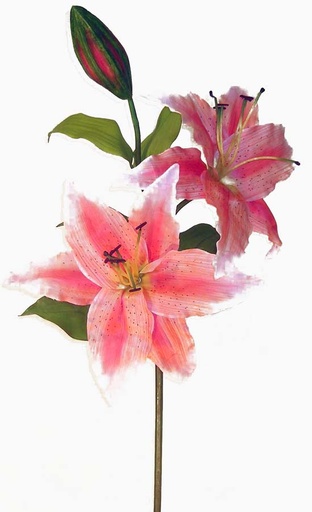 [SG87-FUS] LILY TIGER DISPLAY SPRAY FUSCHIA 16" DIA/55" TALL