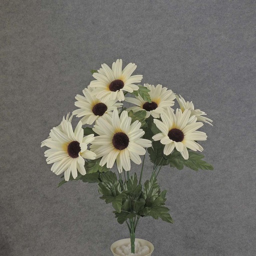 [SEF5076-CRM] DAISY LARGE BUSH X12 18"