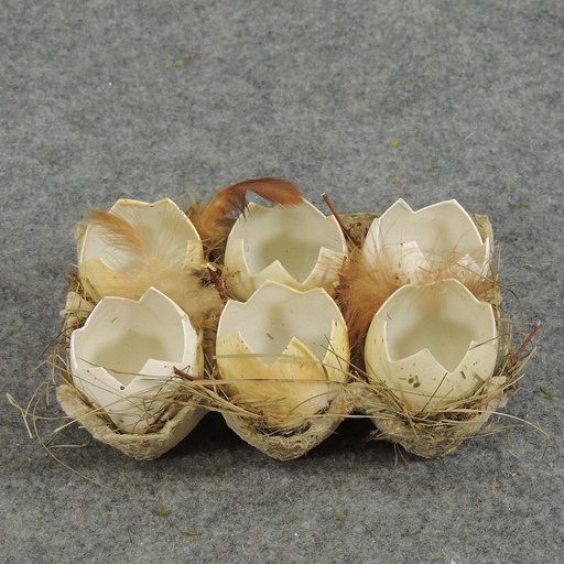 [SJ5014] EGGSHELLS IN A CARTON 6/CARTON