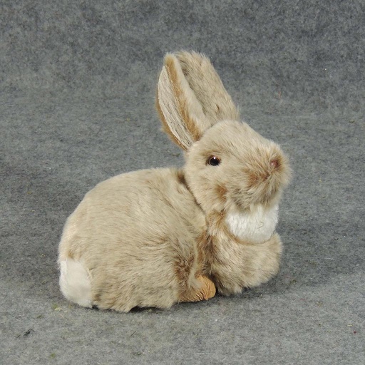 [SJ5089-BRN] BUNNY 6"H X 6.5"     BROWN