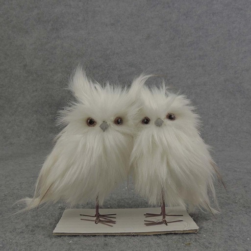 [SJF5032] OWL PAIR 5" WHITE