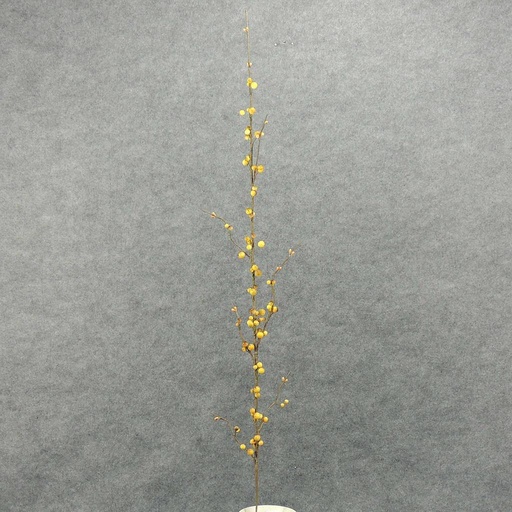 [SJF4020-YEL] BERRY STEM/TWIG 44"  YELLOW