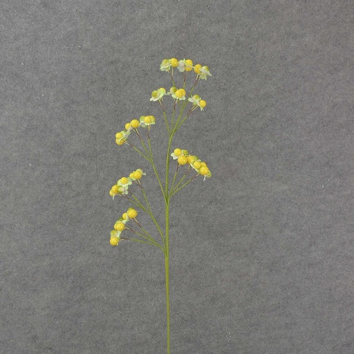[SL8006-YLG] 28" FLOWERING H/W BERRY SPRAY  YELLOW/GREEN