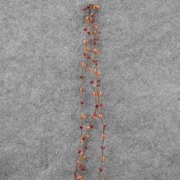 [SLF8020-ROR] PIP BERRY GARLAND 9'  RED/ORANGE