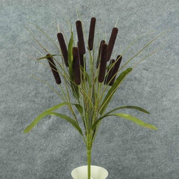 [SNF8008] CATTAIL BUSH X11 