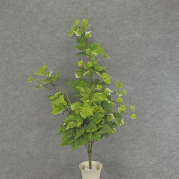 [SR6024] IVY HANGING BUSH 3' X8 155/LVS