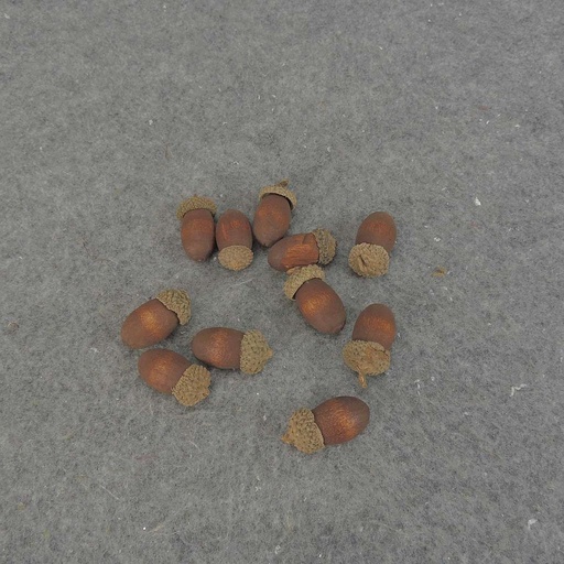 [SRF5005-BRN] ACORN 1.25"-1.5" (75 PER BAG)
