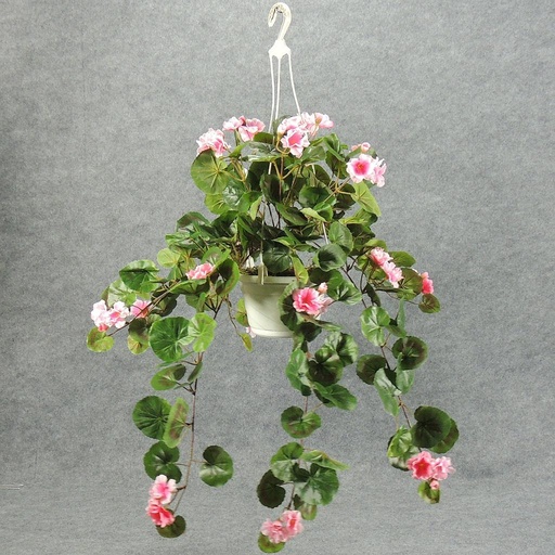 [WW1145-PNK] GERANIUM HANGING BASKET PINK