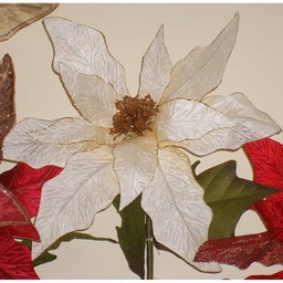 [X100220-CRM] POINSETTIA CREAM VELVET 43&quot;