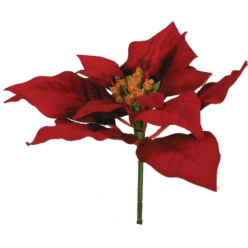 [X1701-BUR] POINSETTIA PICK MEDIUM BURGUNDY
