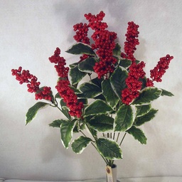 [X100299] LAUREL BUSH X10 VARIEGATED 20" W/RED BERRIES