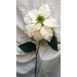 [X401-CRM] POINSETTIA STEM LARGE
