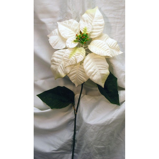 [X401-CRM] POINSETTIA STEM LARGE