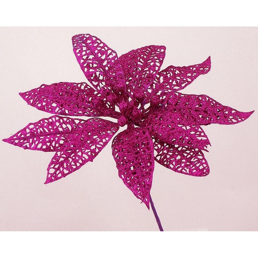 [X43184-BEA] POINSETTIA PICK 9"BEAUTY LACE(12 BANDED)