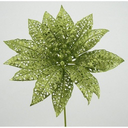 [X43184-LGN] POINSETTIA PICK 9&quot;LT/GRN LACE (12 BANDED)