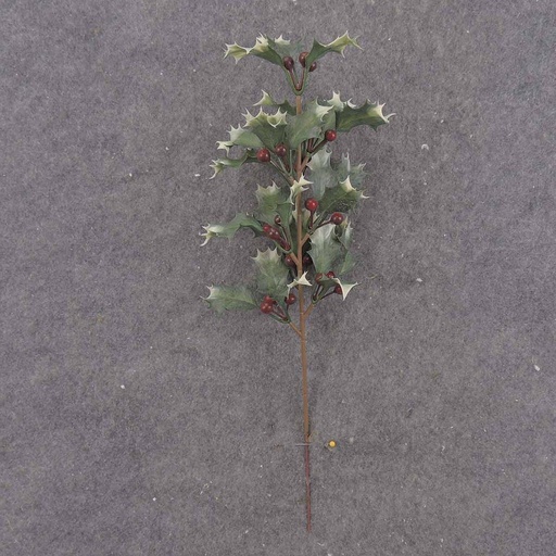 [X8998-AST] HOLLY BERRY SPRAY 15"  (12/BAG) VARI & GREEN