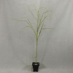 [X1058-LGN] 40&quot; LT GREEN ARTI BIRCH BRANCH