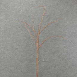 [X60144-BRN] 50&quot; GLITTER TWIG SPRAY  BROWN