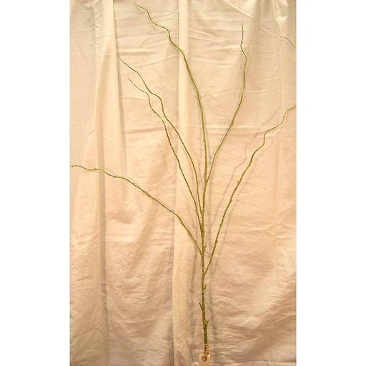 [X60144-GRN] 50" GLITTER TWIG SPRAY GREEN
