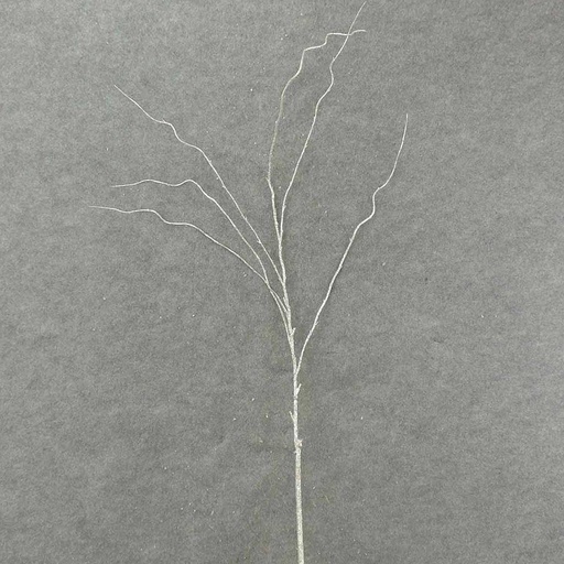 [X60144-SIL] 50" GLITTER TWIG SPRAY  SILVER
